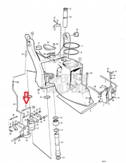 VP Welle MD, AQ, TAM 814419